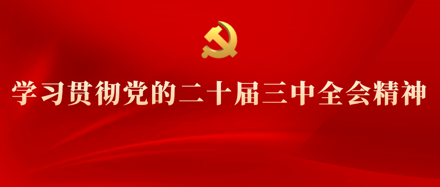 學習專欄 | 黨的二十屆三中全會精神解讀(十)